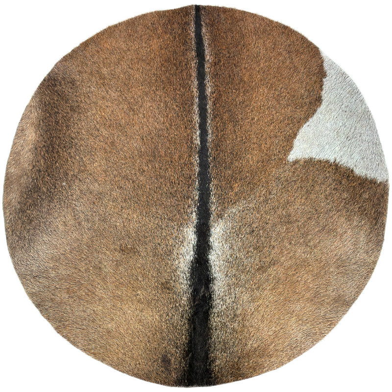 Drumskull Drums Goat Skin for Djembe