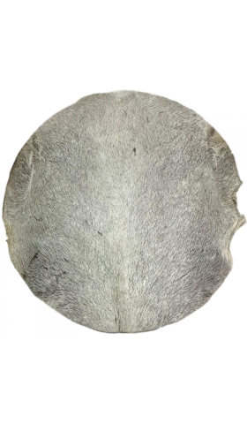 GOAT SKIN - PREMIER CHOICE - LIGHT-MEDIUM