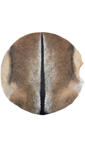GOAT SKIN - PREMIER CHOICE - ULTRA-THICK