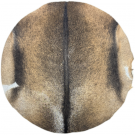 GOAT SKIN - PREMIER CHOICE - MEDIUM