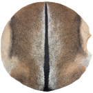 GOAT SKIN - PREMIER CHOICE - ULTRA-THICK