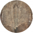 GOAT SKIN - PREMIER CHOICE - THICK